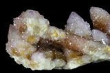 Cactus Quartz (Amethyst) Crystal Cluster - South Africa #132525-3